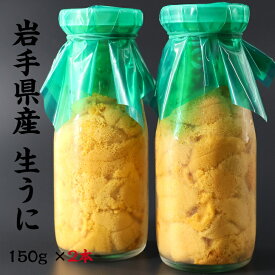 【先行予約】岩手県産 生うに 150g×2本 牛乳瓶 期間限定 三陸 釜石 生うに 送料無料 ギフト 贈り物 旬 海鮮 無添加 ミョウバン不使用 ムラサキウニ 瓶うに うに丼 塩水漬け 雲丹 海鮮 うに瓶 うに お取り寄せ　晩酌 お中元