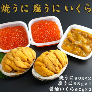 yz Ă     i쏤X O Ă80g×2 ݖ60g×2 55g×1  Mtg