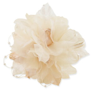 tH[} RT[W VbN 5 o ڂ tH[}RT[W P[Xt }Olbg  w  Ǝ  l e fB[X ܎O O[ sN x[W zCg