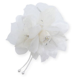 RT[W tH[} 3 GA[ t[ P[X }Olbg   w Ǝ  Vv T p[ zCg x[W sN p[v ubN S[h 