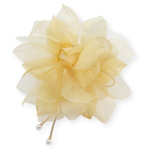 RT[W tH[} 3 GA[ t[ P[X }Olbg   w Ǝ  Vv T p[ zCg x[W sN p[v ubN S[h 