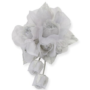 RT[W tH[} 3 o t ڂ݂ tH[} RT[W }Olbg w   Ǝ   X[c }}X[c ؂₩ 傫 傫 Ԃ P[X