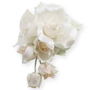 RT[W tH[} 3 o t ڂ݂ tH[} RT[W }Olbg w   Ǝ   X[c }}X[c ؂₩ 傫 傫 Ԃ P[X