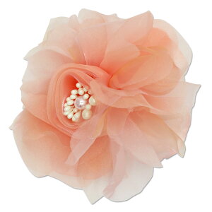 RT[W  w  Ǝ    Vv p[ tH[} mg[ u[` { }Olbg Nbv sN zCg CG[ O[ lCr[ u[ 