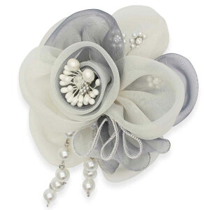 RT[W p[  \[CO t[ }Olbg tH[}RT[W p[ rW[ 傫 Ԃ 傫  w  Ǝ   }} O[ CG[ s