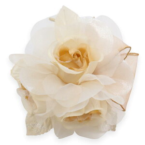 RT[W tH[} VL[ Of[V VA[ [Y o }Olbgdl {[ KN P[X   w Ǝ  Vv x[W O[ zCg It 