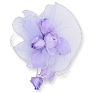 RT[W  o ڂ݂ tH[} RT[W P[X  w  Ǝ  T Zj[ e }} X[c Vv 킢 S[h  Vo[ 