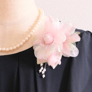 y1_́z RT[W tH[} sN  p[  RT[W P[Xt   w  Ǝ  Mtg v[g ̓ e e T ߑ t