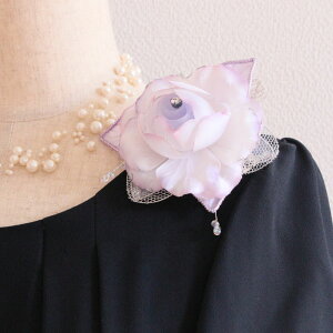 y1_́z RT[W tH[} p[v  o  RT[W P[Xt   w  Ǝ  Mtg v[g ̓ e e T ߑ hX tH