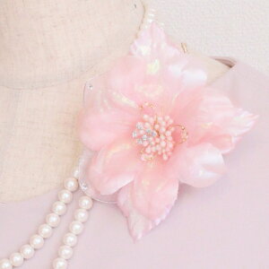 y1_́z RT[W tH[} sN    RT[W P[Xt   w  Ǝ  Mtg v[g ̓ e e T ߑ hX t