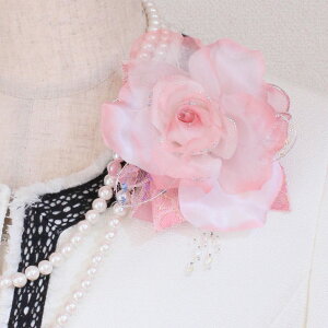 y1_́z RT[W tH[} sN o  RT[W P[Xt   w  Ǝ  Mtg v[g ̓ e e T ߑ hX tH[}