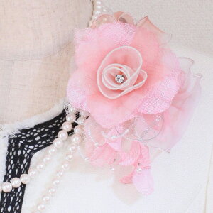 y1_́z RT[W tH[} sN o  RT[W P[Xt   w  Ǝ  Mtg v[g ̓ e e T ߑ tH[