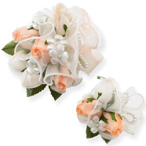 eq  RT[W NR[f t[ u[P tH[} }Olbg 낢  q  ̎q 召 2 Zbg 킢 q LbY  Ǝ w   sN 