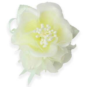 RT[W ~j LbY TCY  }Olbg Ǝ   w q  ͂܂Ȃ o tH[} RT[W {  F T  eq NR[f  u[` 