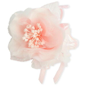 RT[W ~j LbY TCY  }Olbg Ǝ   w q  ͂܂Ȃ o tH[} RT[W {  F T  eq NR[f  u[` 