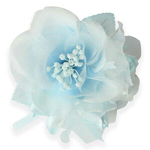 RT[W ~j LbY TCY  }Olbg Ǝ   w q  ͂܂Ȃ o tH[} RT[W {  F T  eq NR[f  u[` 