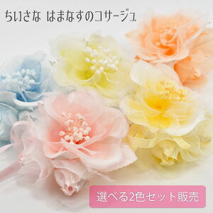 y2ڂz ! 1 1580~1185~ DȃJ[Iz͂܂Ȃ ~j RT[W 2Zbg }Olbg LbY Ǝ   w q  o RT[W { 