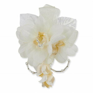 q RT[W w fhrE ڂ݂ LbY ~jRT[W | wANbv  wAANZT[  w q tH[} hX 킢 P[X 