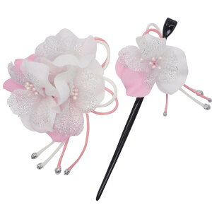 a   k wANbv 񂴂 2_Zbg | l Ǝ  U  wAANZT[ RT[W ԁ@ Zbg { P[X   bh IW 