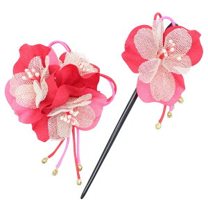 a   k wANbv 񂴂 2_Zbg | l Ǝ  U  wAANZT[ RT[W ԁ@ Zbg { P[X   bh IW 