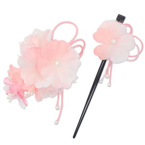 a  X qH| v  wANbv 񂴂  2_Zbg ԁ@ Zbg { P[X  IW F sN 