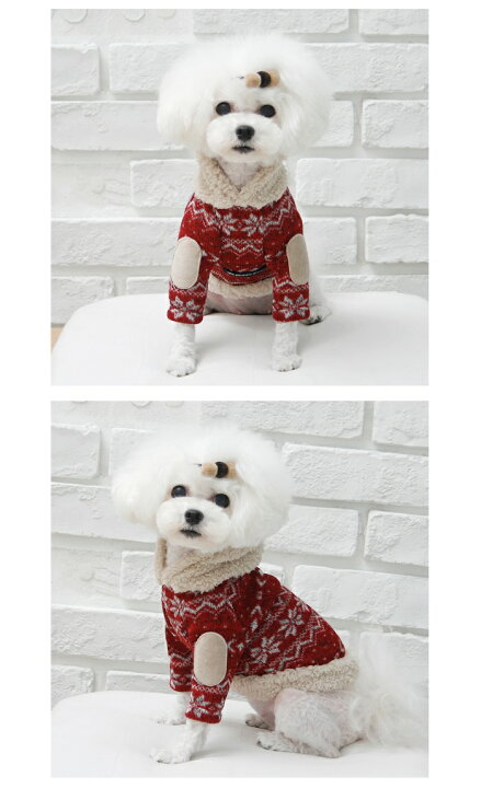 楽天市場 犬の服 スノー柄ニット 鎌倉dog2号店