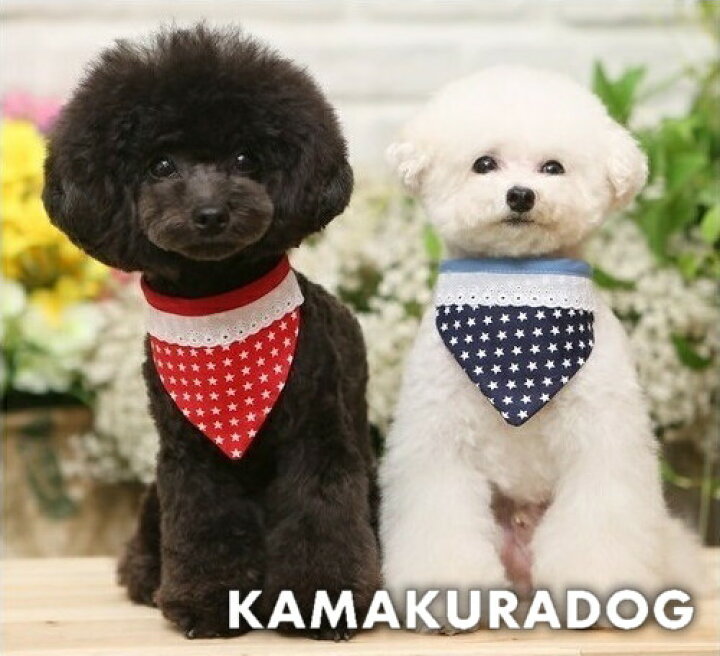 楽天市場 鎌倉dog 犬猫 バンダナ プチプチ スターバンダナ 鎌倉dog2号店