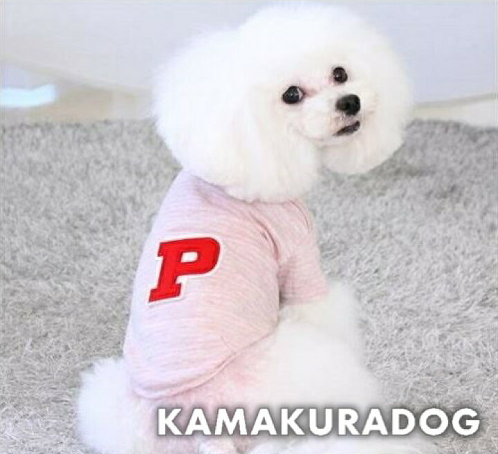 楽天市場 ドッグウェア 犬 服 ｐワッペンシャツ 鎌倉dog2号店