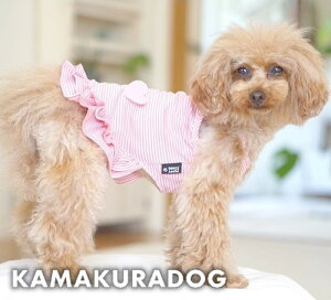 y12/1ijISi|Cg2{IzyqDOGzyhbOEFAzӂӂn[gs[X