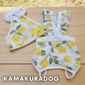 レモン かわいい 犬用ペット服の人気商品 通販 価格比較 価格 Com
