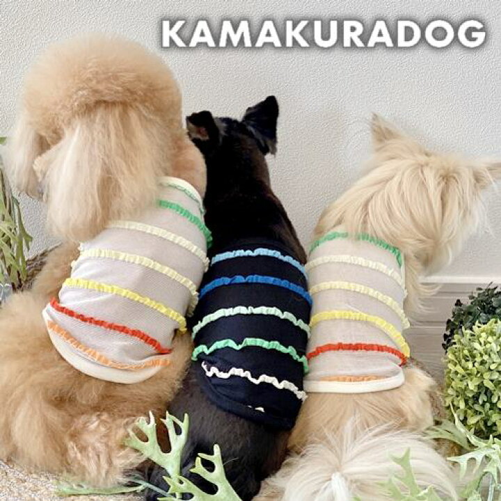 楽天市場 犬の服 カラフリルメッシュ 鎌倉dog2号店