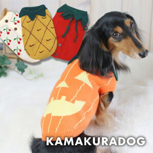 y̕zp[eB[jbg pvL nEB Cxg RX`[  H~ H ` _bNX gCv[h ̕  hbOEFA H ~