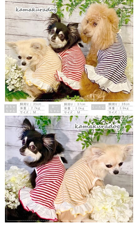 楽天市場 犬の服 涼ボーダーワンピ 鎌倉dog2号店