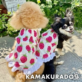 【犬の服】苺のワンピース