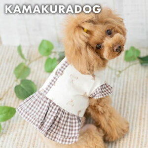 y12/1ijISi|Cg2{Izy̕zNVbNxAm^n[lX