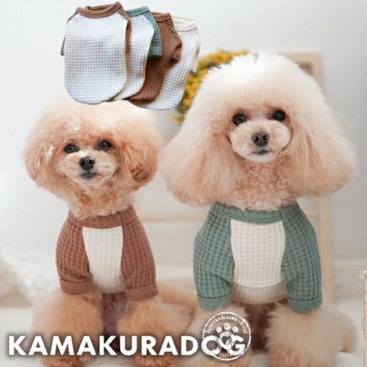 楽天市場】【 犬 服 Tシャツ ワッフル 】 デイリーワッフルT 鎌倉DOG 