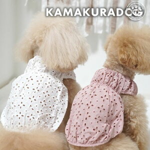 y   s[X p[X z ԂтXJbvȂs qDOG [X  ( ̕  ^ gCv[h _bNX ` hbOEFA ybg  킢 )