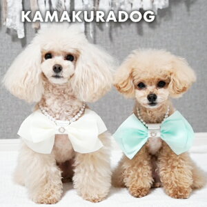 y̕z{p[lbNX ( ̕  ^ gCv[h _bNX ` hbOEFA ybg  킢 ANZT[ tH[})