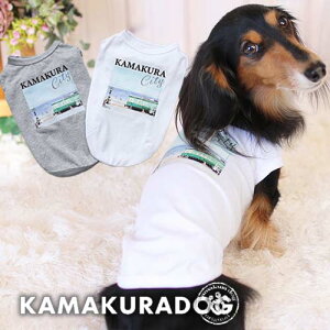 y  䃍O z qcity^NgbvyqDOG gbvX ^Ngbv tHgvg ( ̕  ^ gCv[h _bNX ` hbOEFA ybg  킢 