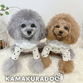 【犬 服 Tシャツ】コットンレースドット柄トップス 鎌倉DOG 服 Tシャツ 人気 ( 犬の服 犬服 小型犬 シャツ トイプー ダックス チワワ ドッグウェア おしゃれ かわいい )