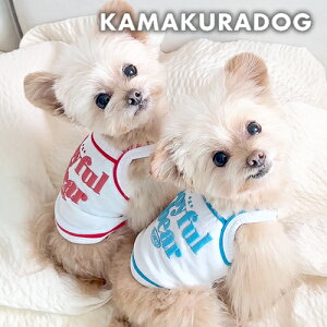 y   L~ V[g z Ղ胍SL~\[ qDOG gbvX S Ղ ( ̕ ^ gCv[h _bNX ` hbOEFA ybg  킢 )