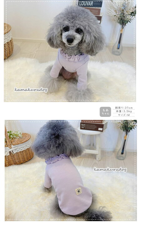 楽天市場】【 犬 服 長袖 フリル 】 NEWデザインネックシャツ 鎌倉DOG 