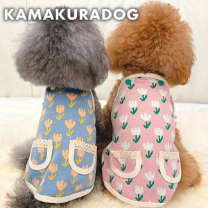 y   s[X z Gv`[bvs qDOG gbvX ԕ ( ̕  ^ gCv[h _bNX ` hbOEFA ybg  킢 g)