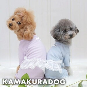 y  Ȃzh[~[tȂ qDOG Ȃ lC ( ̕  ^ Ȃ gCv[ _bNX ` hbOEFA  킢 )