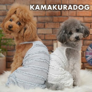 y  Ȃz}eBbNL~Ȃ qDOG L~\[ lC ( ̕  ^ Ȃ gCv[ _bNX ` hbOEFA  킢 )