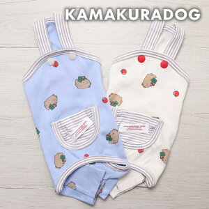 y  ȂzxATybg qDOG Tybg lC ( ̕  ^ Ȃ gCv[ _bNX ` hbOEFA  킢 )