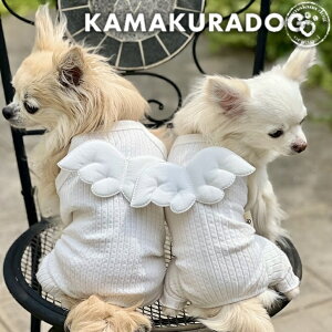 y  ȂzzCgGWFL~Ȃ qDOG L~ lC ( ̕  ^ Ȃ gCv[ _bNX ` hbOEFA  킢 )