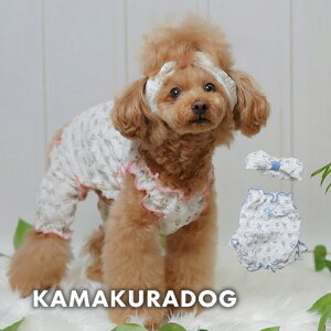 y  @H ȂzubTȂEwAoh qDOG wAoh lC ( ̕  ^ Ȃ gCv[ _bNX ` hbOEFA  킢 )