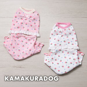 y  ȂzobNI[vȂ qDOG lC ( ̕  ^ Ȃ gCv[ _bNX ` hbOEFA  킢 )