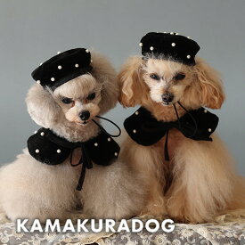 【犬 服 スカーフ】パールドットスカーフ＆帽子 鎌倉DOG 帽子 人気 ( 犬 アクセサリー バンダナ 小型犬 トイプー ダックス チワワ おしゃれ かわいい )